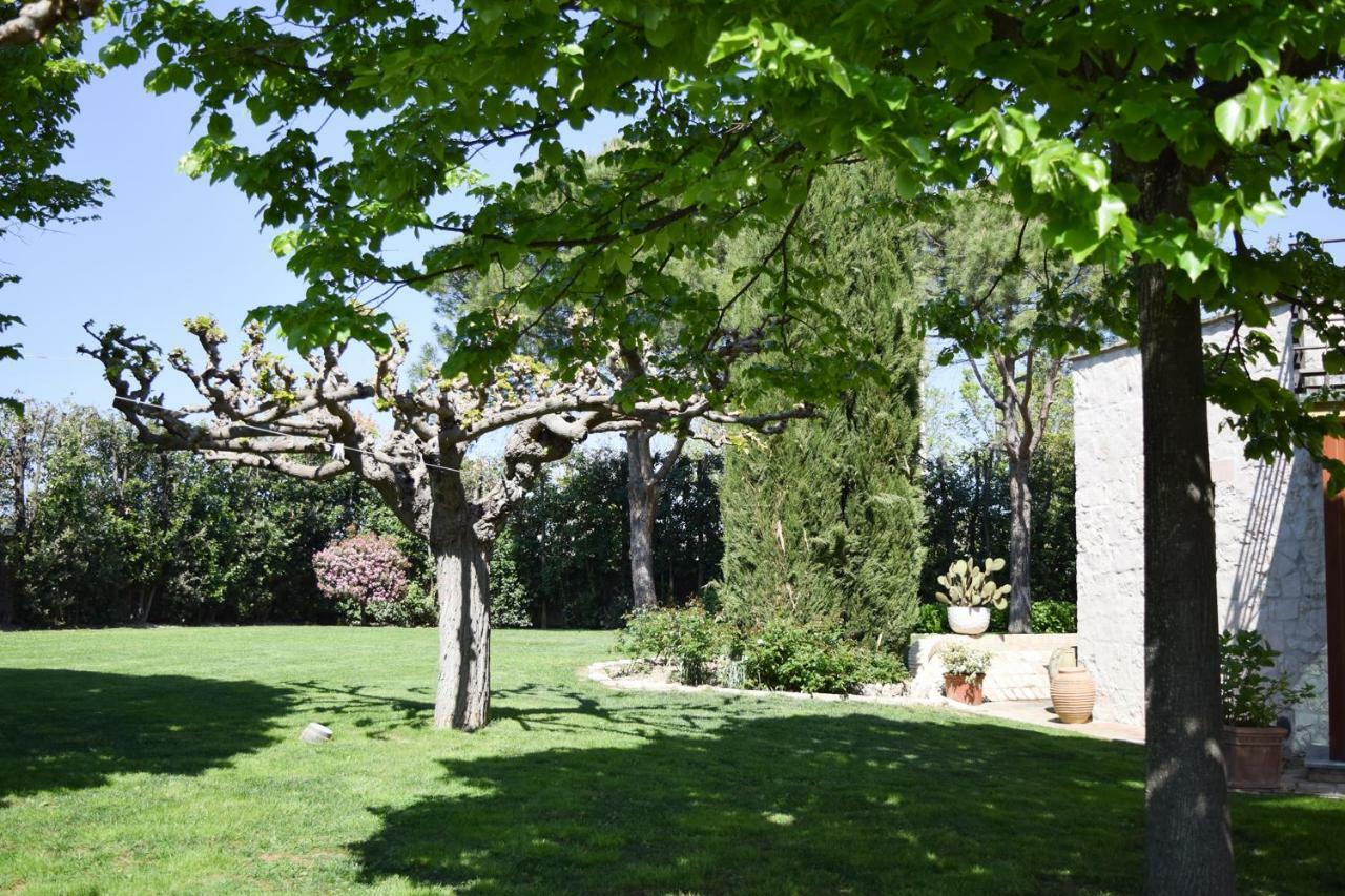 B&B Villa Fioreconero Montacuto Eksteriør billede